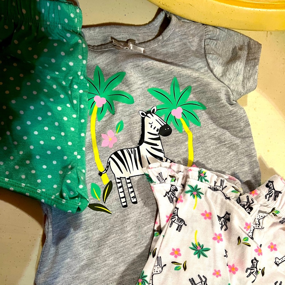 Zebra pj set